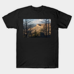 Mesa Verde Landscape T-Shirt